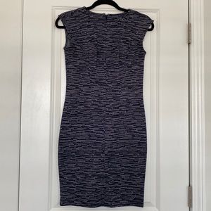 Ann Taylor Petite navy/white dress with capped sleeves